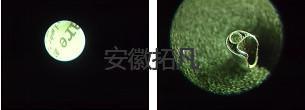 内窥镜维修